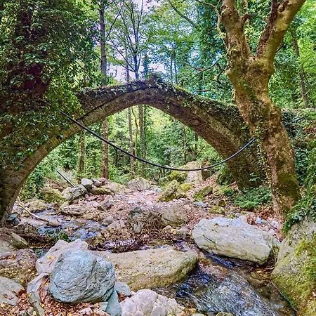 Tatil Evi Elvira's *